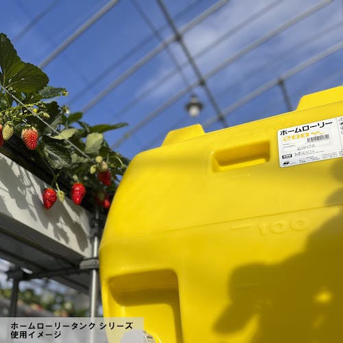 CAINZ-DASH】スイコー ホームローリータンク５０ レモン （フタ含む 