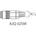 【CAINZ-DASH】アネスト岩田 エアーホース用継手　クイックジョイント（ソケット）　接続口径Ｒ１／４ AJQ-02SM【別送品】