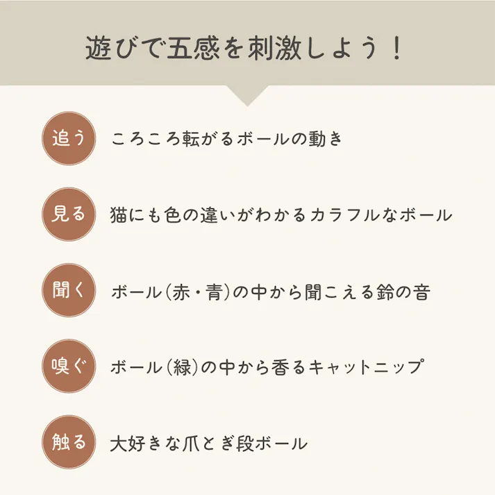 ニャンコロビー ボックス