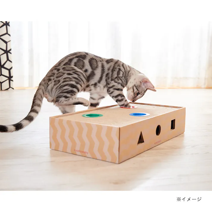 ニャンコロビー ボックス