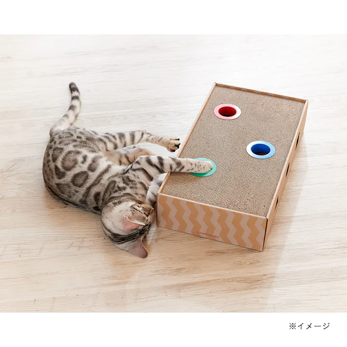 ニャンコロビー ボックス