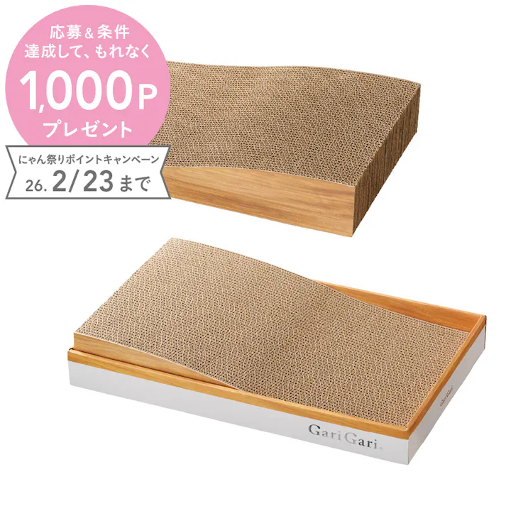 ガリガリプレイス スロープ