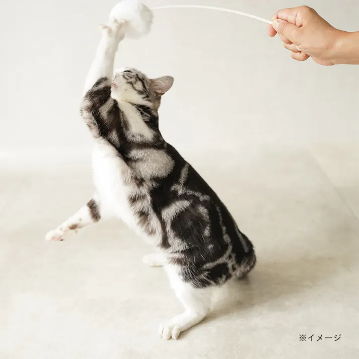 Mofu じゃらし(クリームソーダ) 2本入り