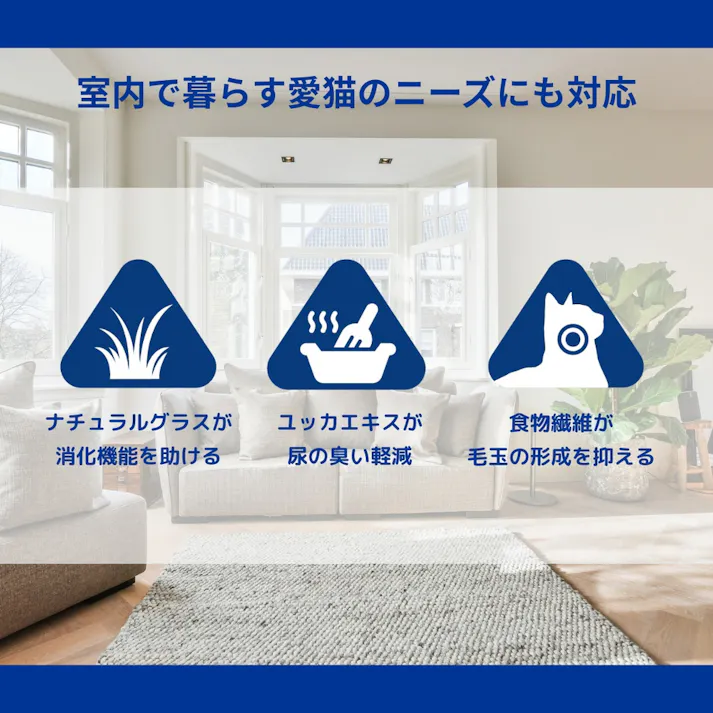 トリロジー サーモン 1歳以上用 300g