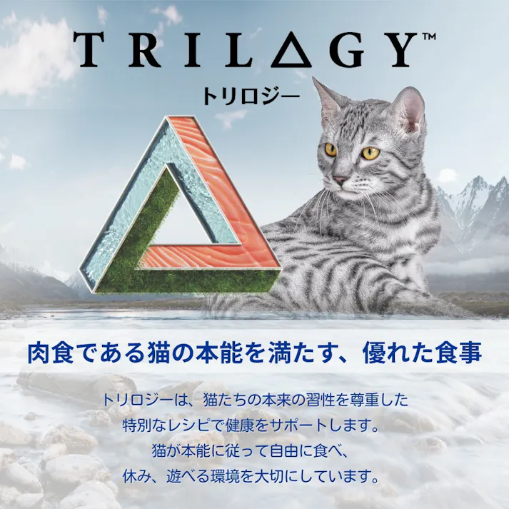 トリロジー サーモン 1歳以上用 300g