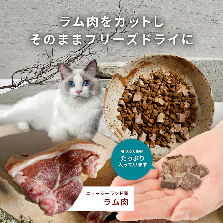 トリロジー サーモン 1歳以上用 300g