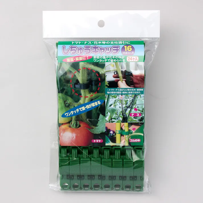 シーム しちゅうキャッチ 緑 24P