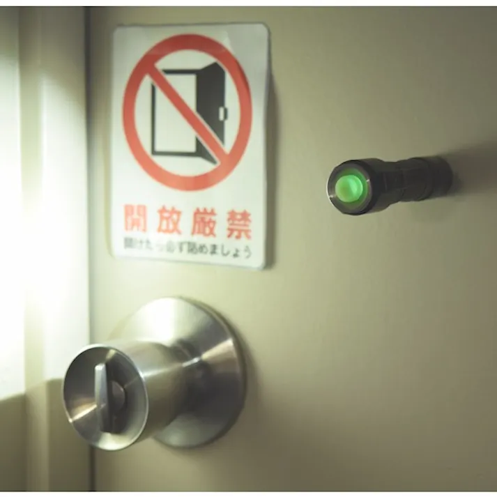 【CAINZ-DASH】サイトロンジャパン BRIGHT-TECH LEDハンディ&ヘッドライト EX100AL【別送品】