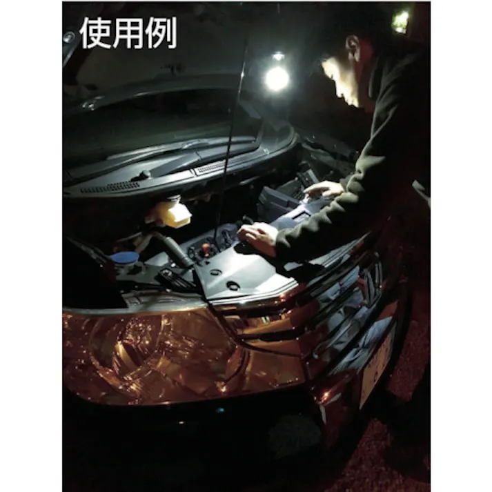 【CAINZ-DASH】サイトロンジャパン BRIGHT-TECH LEDランタン&ライト EX200LT【別送品】