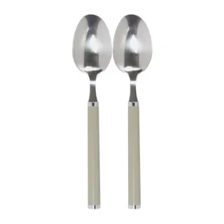 カラースプーンL 2本組 ワームグレー