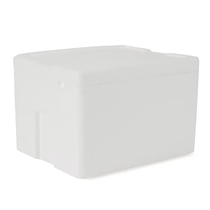 発泡汎用箱 Ti-200A2 20.7L