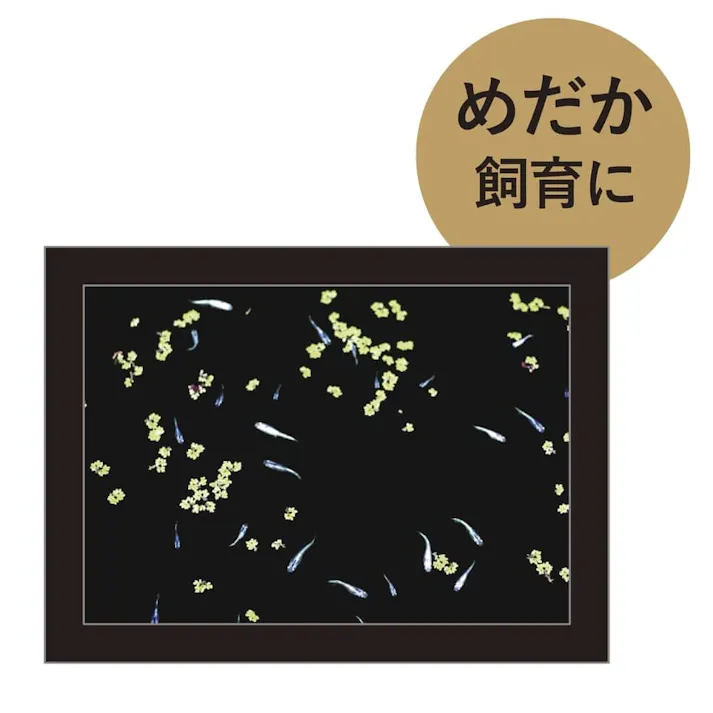 発泡贈答箱 ブラック Ti-702 7.9L