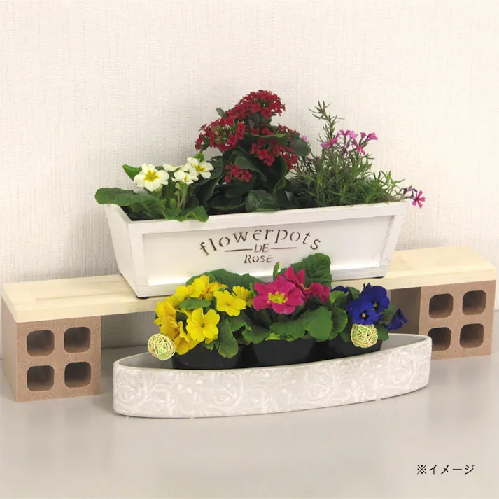 発泡 キューブロック 100角ベージュ