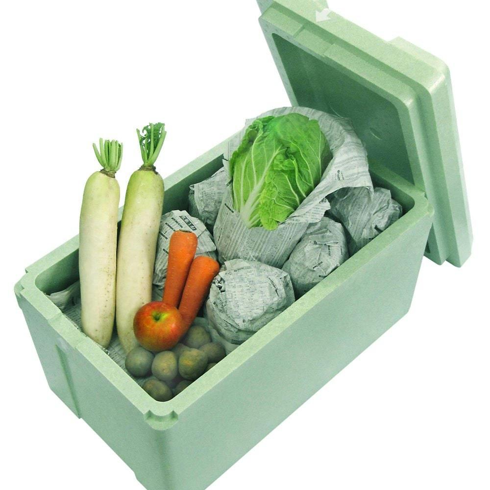 野菜保存箱 大 グリーン TI-800VK | 農業資材・薬品 | ホームセンター 