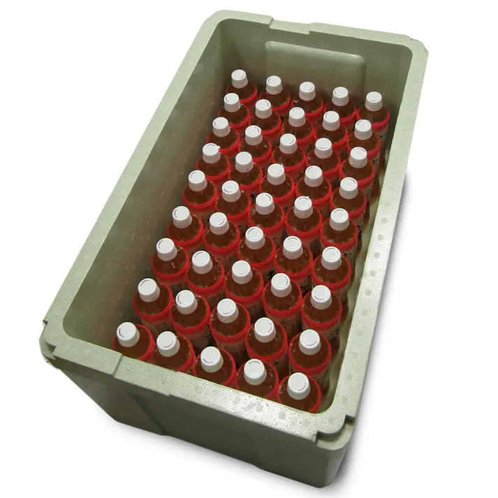 野菜保存箱 大 グリーン TI-800VK