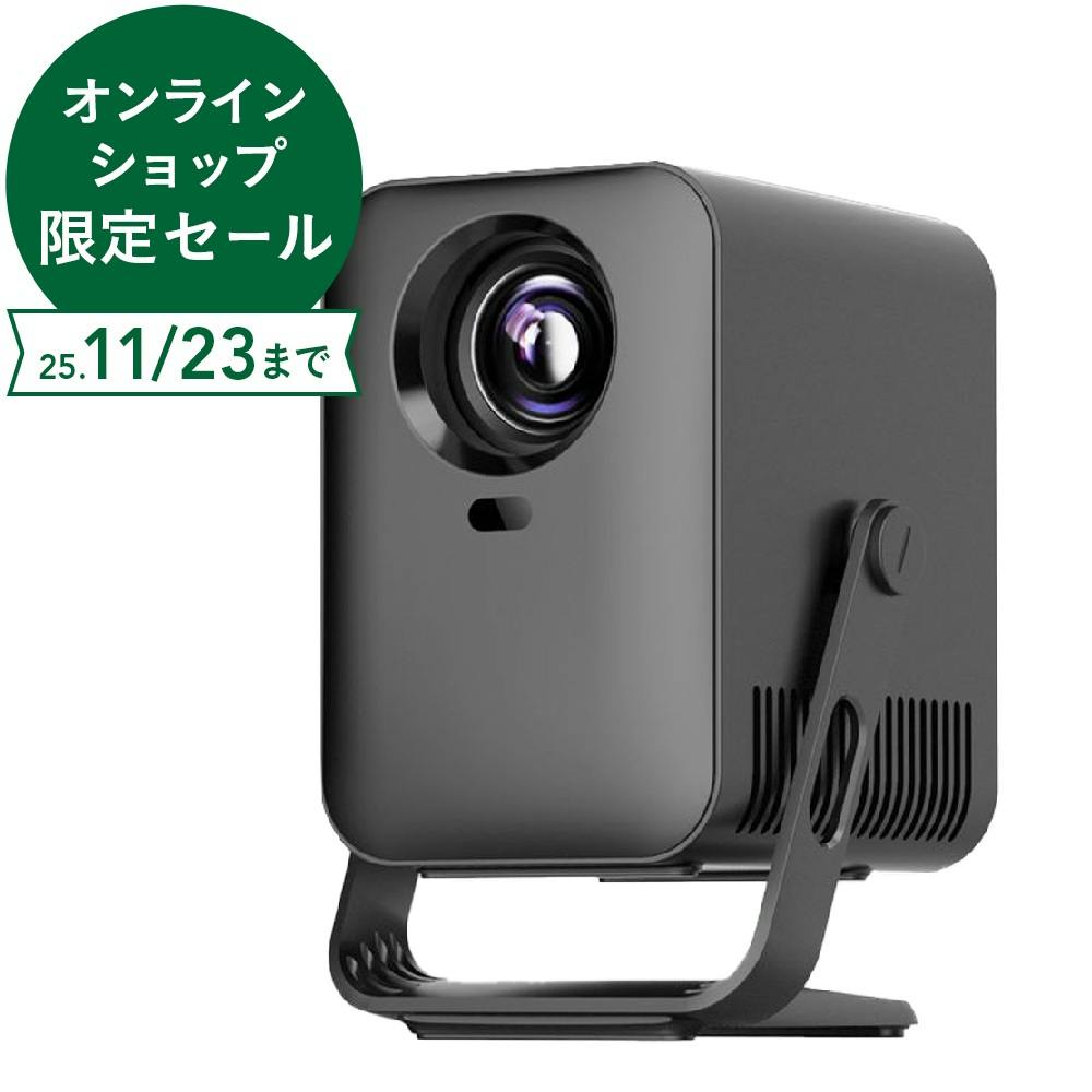 ミニLCDプロジェクター RA-PB600 テレビ・チューナー