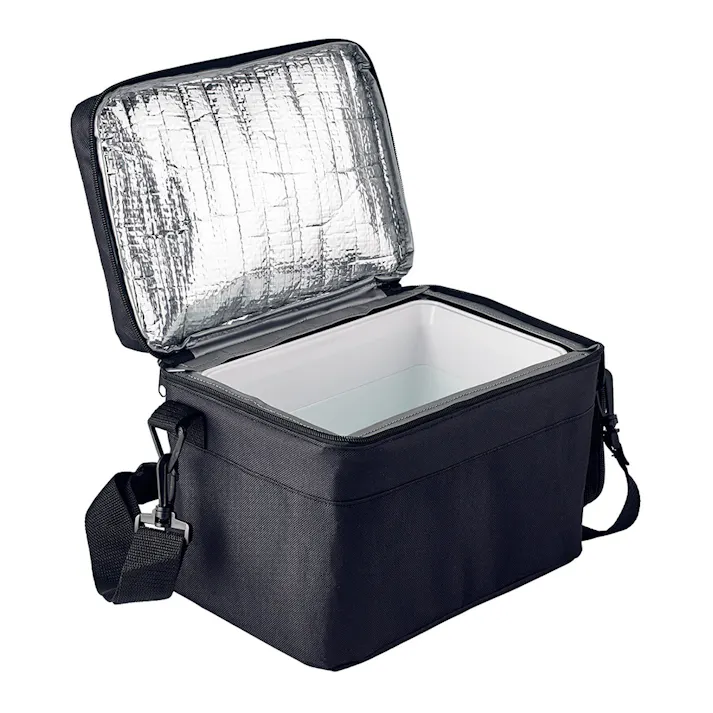 車載用保冷温庫 5L RA-RS5