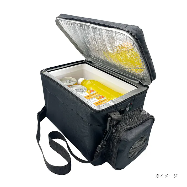 車載用保冷温庫 5L RA-RS5