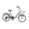 【自転車】マイパラス MYPALLAS 折畳自転車 MF203 EASILY 20・6SP リーフグリーン