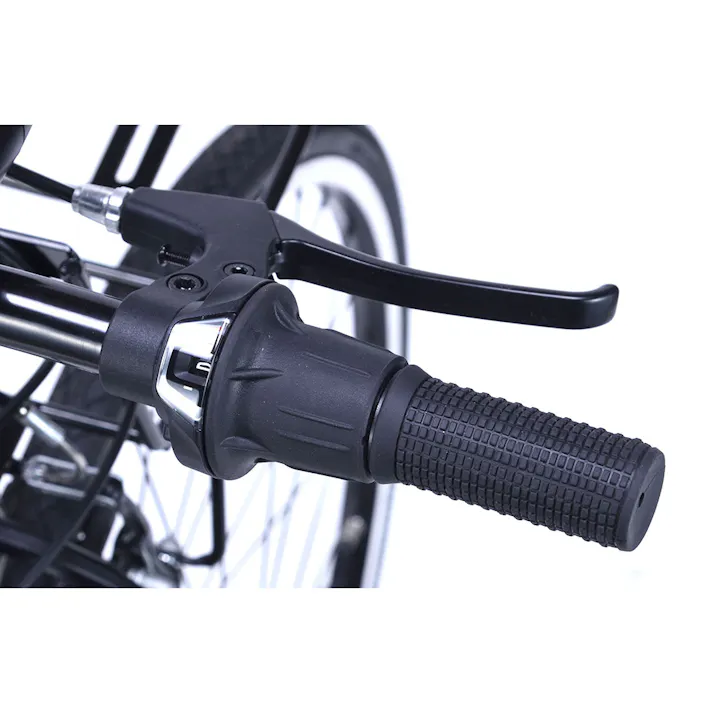 マイパラス MYPALLAS 折畳クロスバイク 700C 外装6段 マットブラック