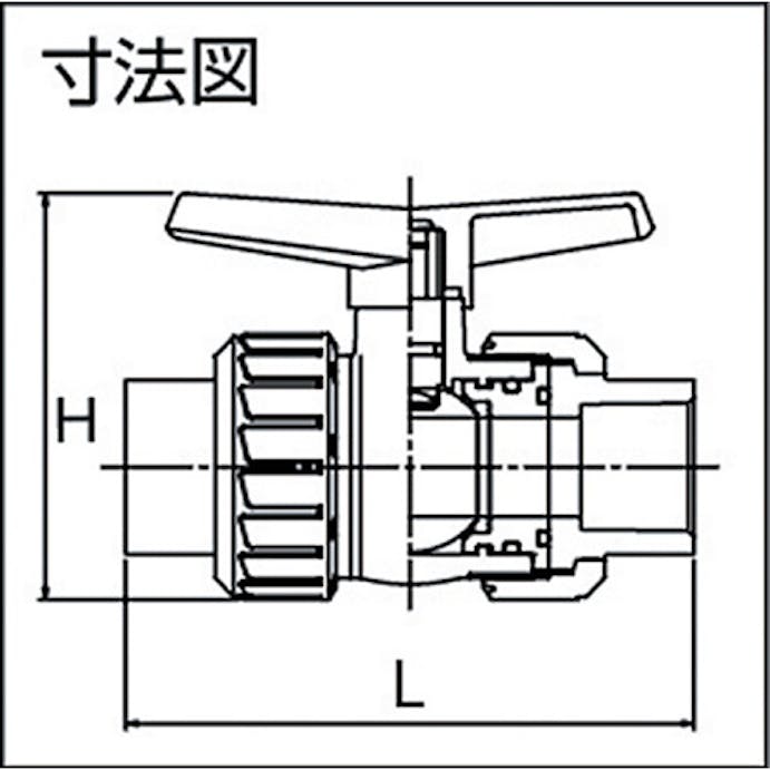 【CAINZ-DASH】積水化学工業 ボールバルブ　ＴＳ式　本体ＰＶＣ　ＯリングＥＰＤＭ　２０ BV20SX【別送品】