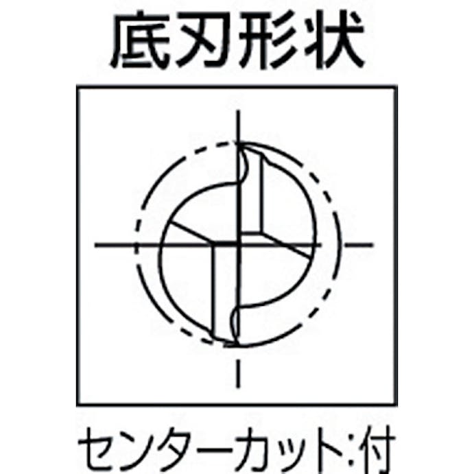 【CAINZ-DASH】ダイジェット工業 アルミ加工用ソリッドスクエアエンドミル（２枚刃・レギュラー刃長）　１．０ｍｍ AL-SEES2010【別送品】