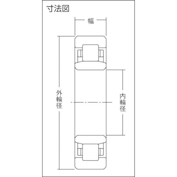 【CAINZ-DASH】ＮＴＮセールスジャパン Ｄ　シリンドリカル　内輪径８５ｍｍ　外輪径１８０ｍｍ　幅４１ｍｍ NU317【別送品】