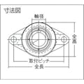 【CAINZ-DASH】ＮＴＮセールスジャパン Ｇベアリングユニット（止めねじ式）軸径１７ｍｍ全長１１３ｍｍ全高６０ｍｍ UCFL203D1【別送品】