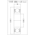 【CAINZ-DASH】ＮＴＮセールスジャパン Ａ小径小形ボールベアリング（合成ゴム接触両側シール）内径４５ｍｍ外径７５ｍｍ幅１６ｍｍ 6009LLU【別送品】