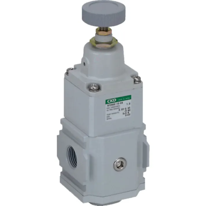 【CAINZ-DASH】CKD 精密レギュレータ RP2000-8-08【別送品】