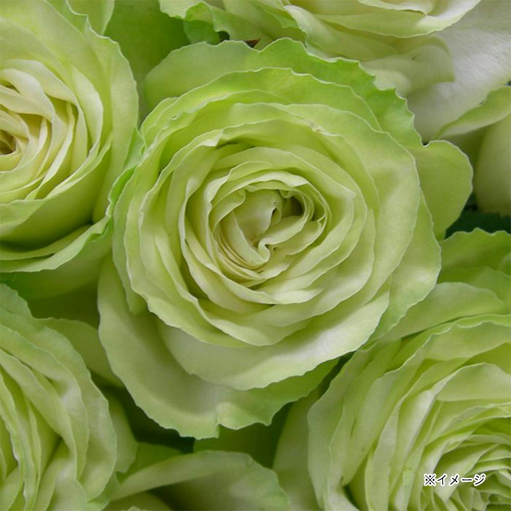 �킩�� ��؁E�ʎ�