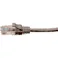 【CAINZ-DASH】コーニングインターナショナル Cat5e UTPパッチコード5m ライトグレー VOL-5EUPB-L5-GYL【別送品】
