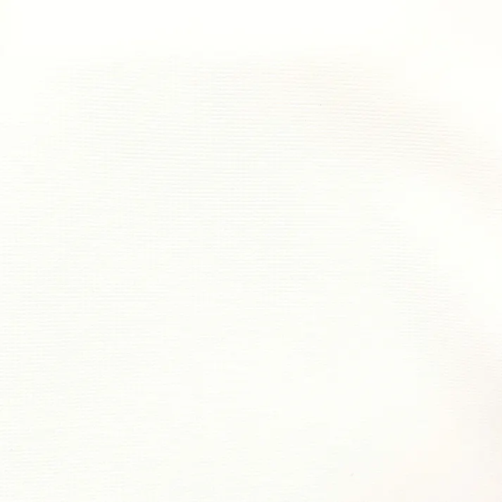 遮熱レースカーテン リーシェ ホワイト 100×198cm