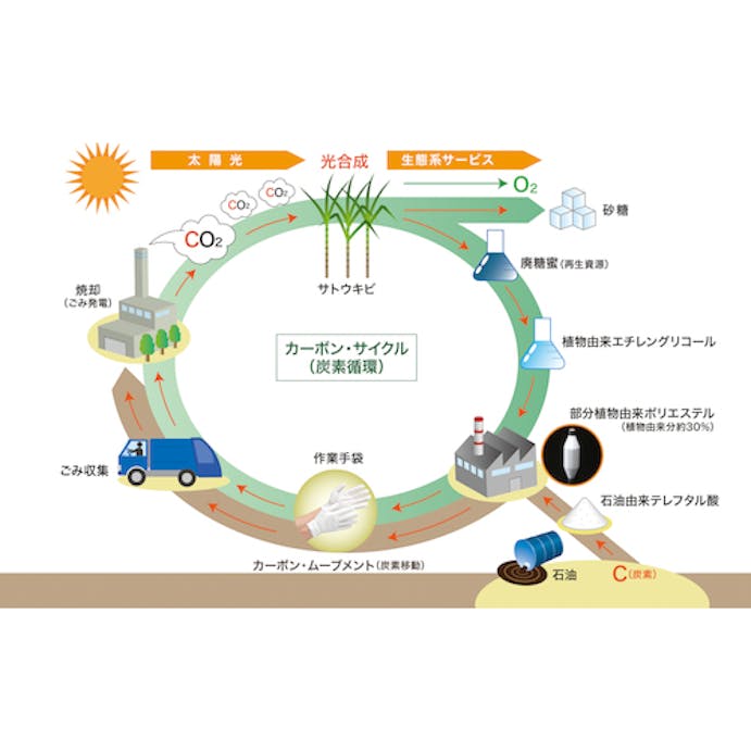 【CAINZ-DASH】ミドリ安全 プランテックスグローブ　スムス　ゴム入り　Ｍサイズ PLANTEX-SUMUSU-GOMUIRI-M【別送品】