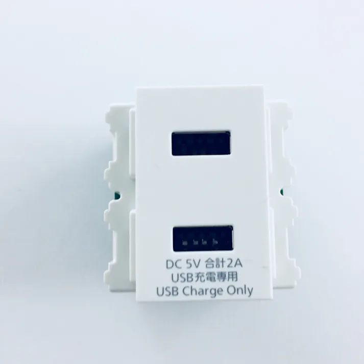 パナソニック コスモシリーズワイド21 埋込充電用USBコンセント 2ポート 2A ホワイト WN1472SW