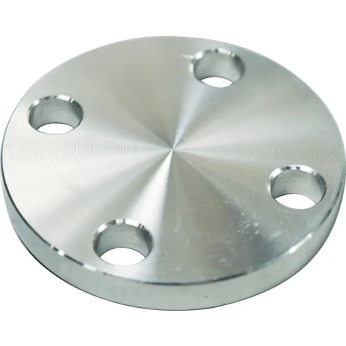 【CAINZ-DASH】フローバル SUS304 5K 閉止フランジ 14100553 SUS-5K-BL-FF-15A【別送品】