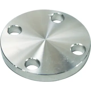 【CAINZ-DASH】フローバル SUS304 5K 閉止フランジ 14100557 SUS-5K-BL-FF-40A【別送品】