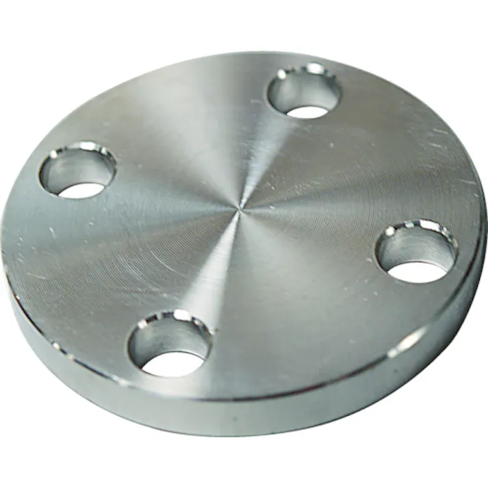 【CAINZ-DASH】フローバル SUS304 10K 閉止フランジ 14100576 SUS-10K-BL-FF-65A【別送品】