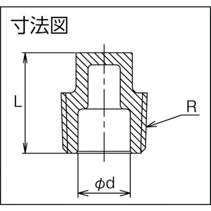 【CAINZ-DASH】フローバル プラグ（ＳＣＳ１３Ａ）　０４１００７０３ VP-03【別送品】