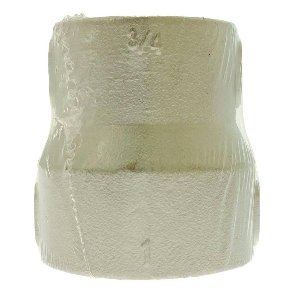 �X�e�� �ٌa�\�P�b�g 1×3/4 �|�ǁE�x������