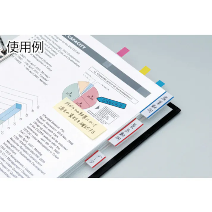 【CAINZ-DASH】スリーエム ジャパン文具・オフィス事業部 まとめ買い ポスト・イット インデックス 44X50mm 250枚X2色 6821-12-RB【別送品】