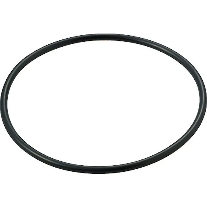 【CAINZ-DASH】スリーエム ジャパンフィルター製品事業部 ハウジング1MN1ヘッド D-リング EPDM CM017-02001-5-E【別送品】