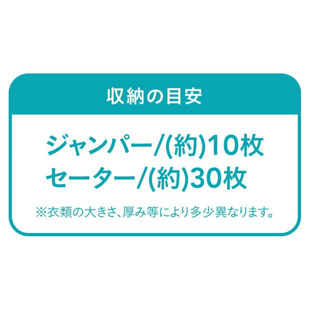 オートバルブ式 押入れケース用圧縮パック 2枚入り | 押入れ収納