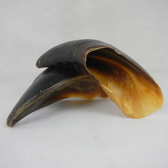 Pet’sOne おいしい牛爪 2個入