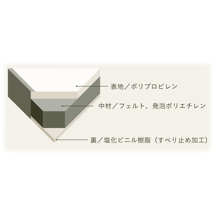 水拭きができる システム畳 58x58 BR(販売終了)