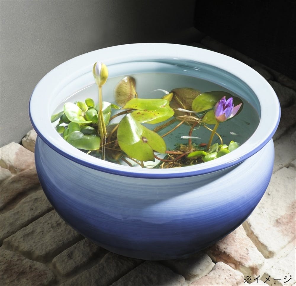 陶器睡蓮鉢 ブルー 30cm | 園芸用品 | ホームセンター通販【カインズ】