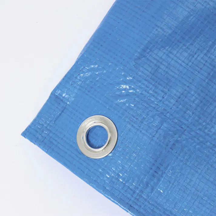 カインズ 作業用シート #3000 厚手 10m 10m 約60畳 ハトメ付き