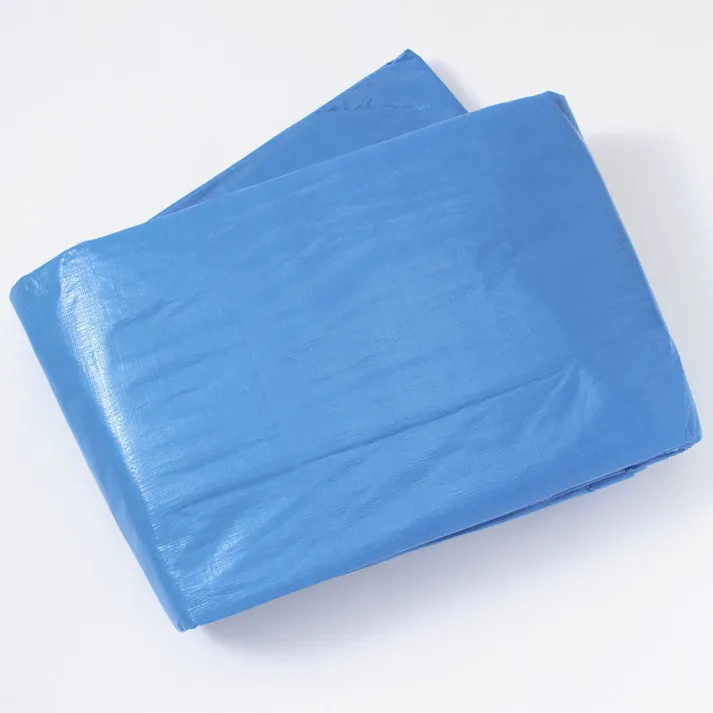 カインズ 作業用シート #3000 厚手 10m 10m 約60畳 ハトメ付き