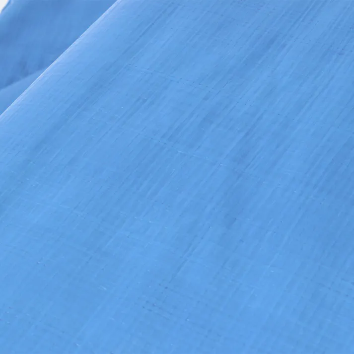 カインズ 作業用シート #3000 厚手 10m 10m 約60畳 ハトメ付き