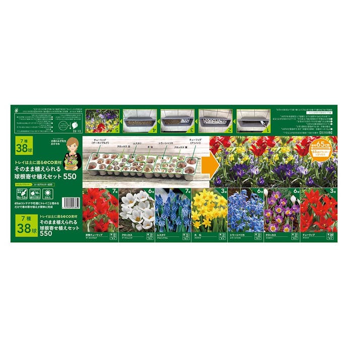 そのまま植えられる球根寄せ植えセット 550(販売終了)